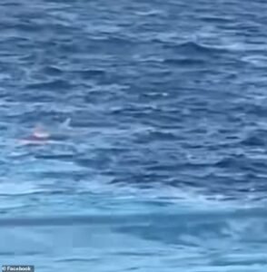 100631969-14941629-An_unidentified_man_pictured_left_under_water_jumped_off_a_Royal-a-96_17534698885.jpeg