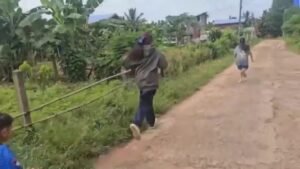 1309d3158e7849a9af20fafdcf7ad5dc.jpeg