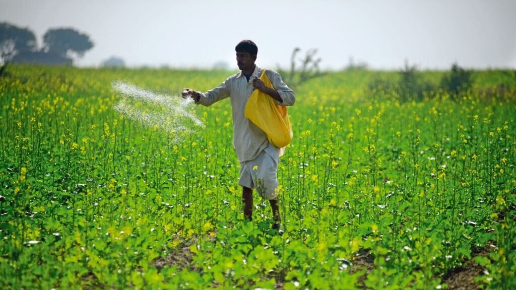2-0-719481517-fertilizer2-0_1680325445982_1752497139617.JPG