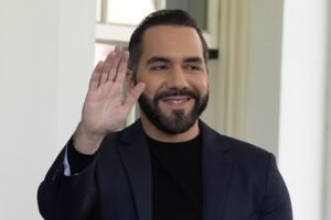 42a830b4-2eab-4b9e-86cc-6eecabe85a19.jpg