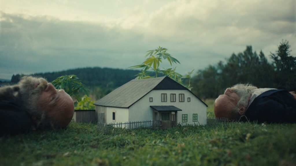 Better-Go-Mad-in-the-Wild-KVIFF.jpg