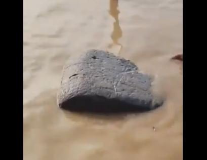 Capture-6.jpg
