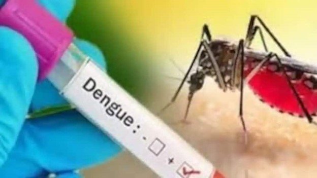 Dengue.jpg