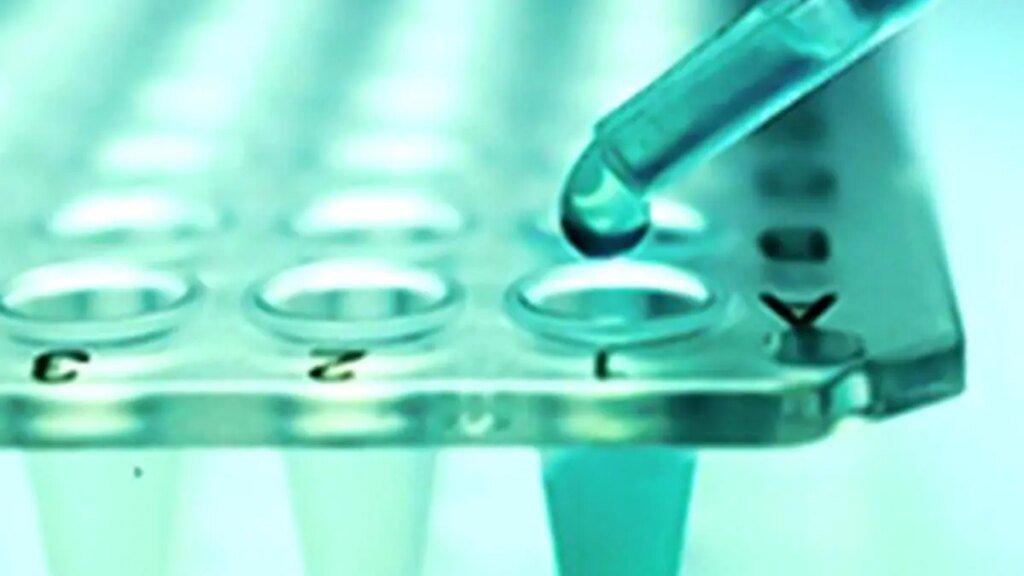 IMG_Stem_Cell_Research_P_2_1_N2E0FJB4.jpg