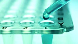 IMG_Stem_Cell_Research_P_2_1_N2E0FJB4.jpg