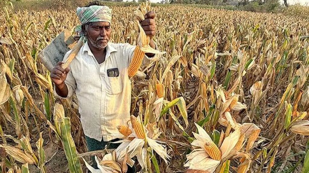 Kharif-2025-updGIUEJPB9T.4.jpg.jpg