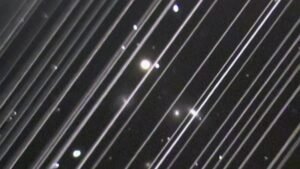 SCI_3__Full_1753839570841.jpg