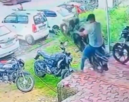 Viral-video-30.jpg