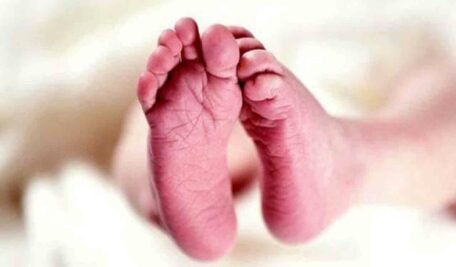 baby-3-1-456x267-1.jpg