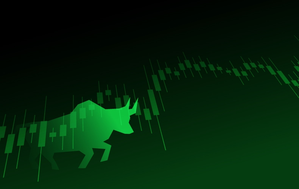 bull-run.png