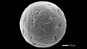cosmic-dust-opens-wind.jpg