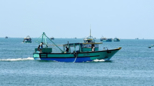 fISHERMAN.png