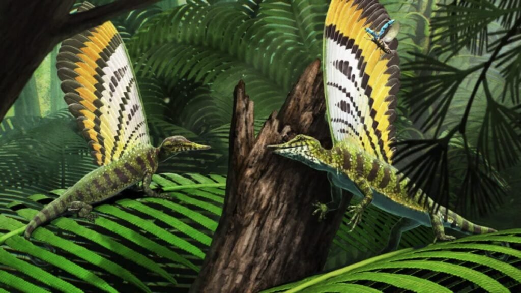 mirasaura-illustration-main-1200x675.jpg