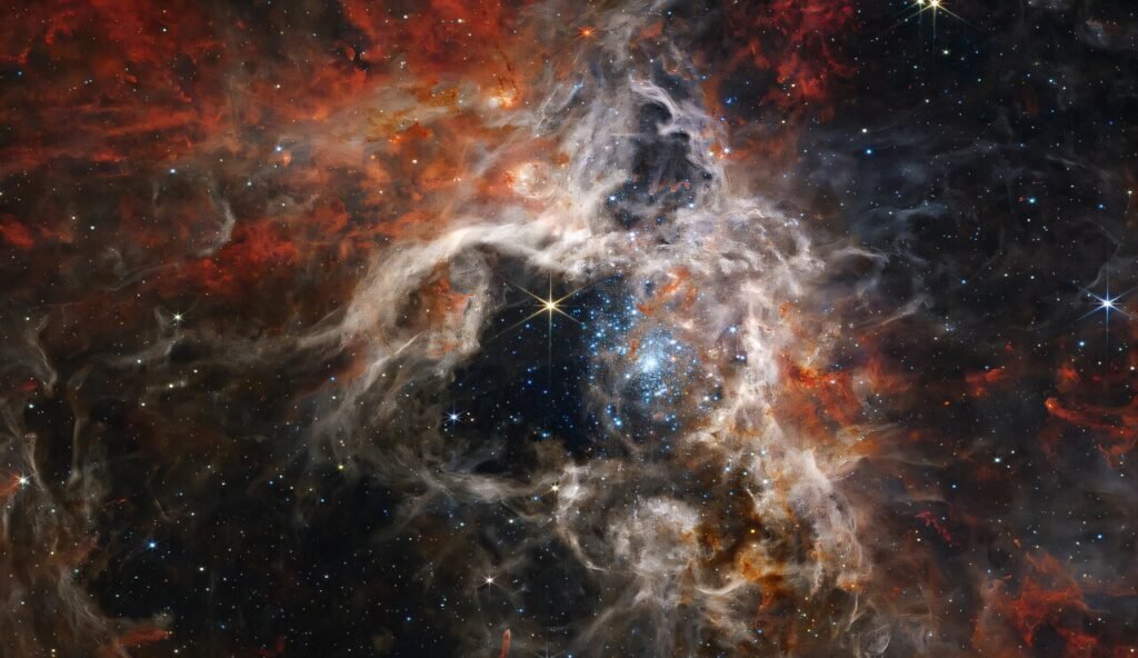 new-study-reveals-how-24.jpg