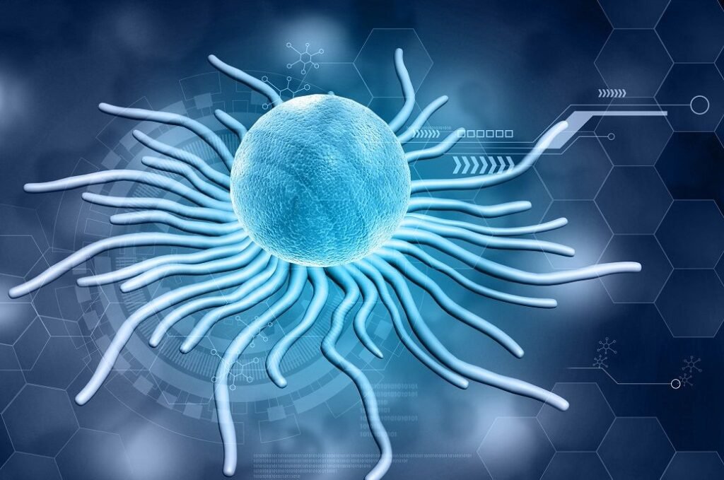 shutterstock-2332837273_315713.jpg
