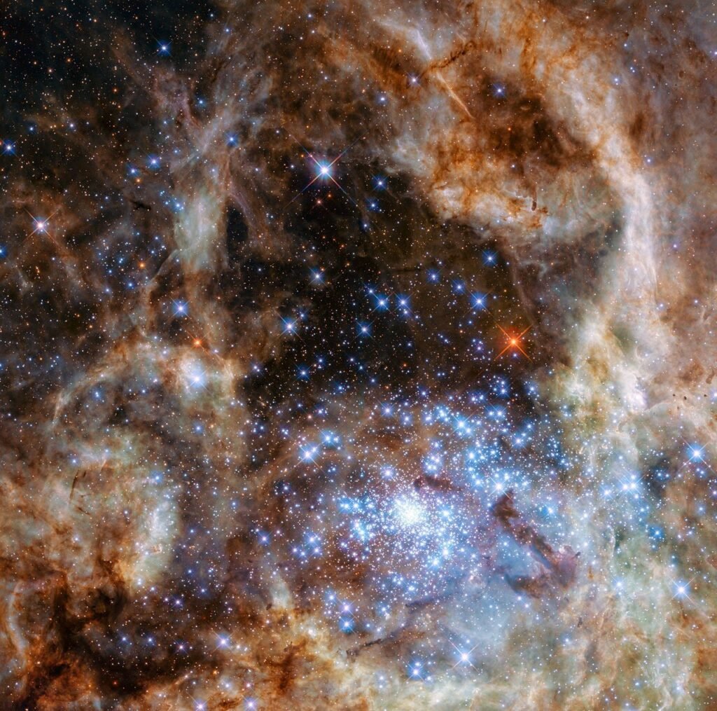the-habitable-worlds-o.jpg
