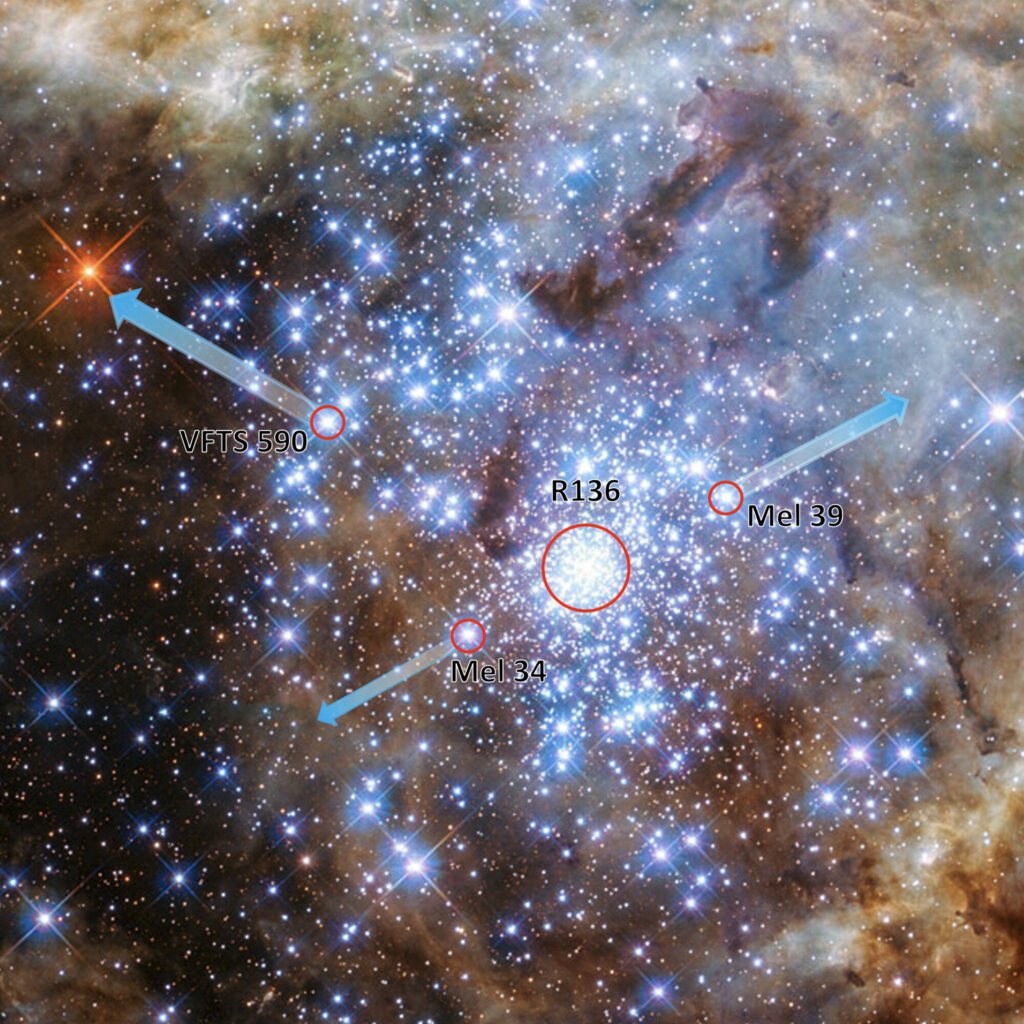 this-is-how-astronomer-1.jpg