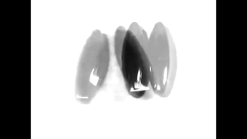 1754620667_maxresdefault.jpg