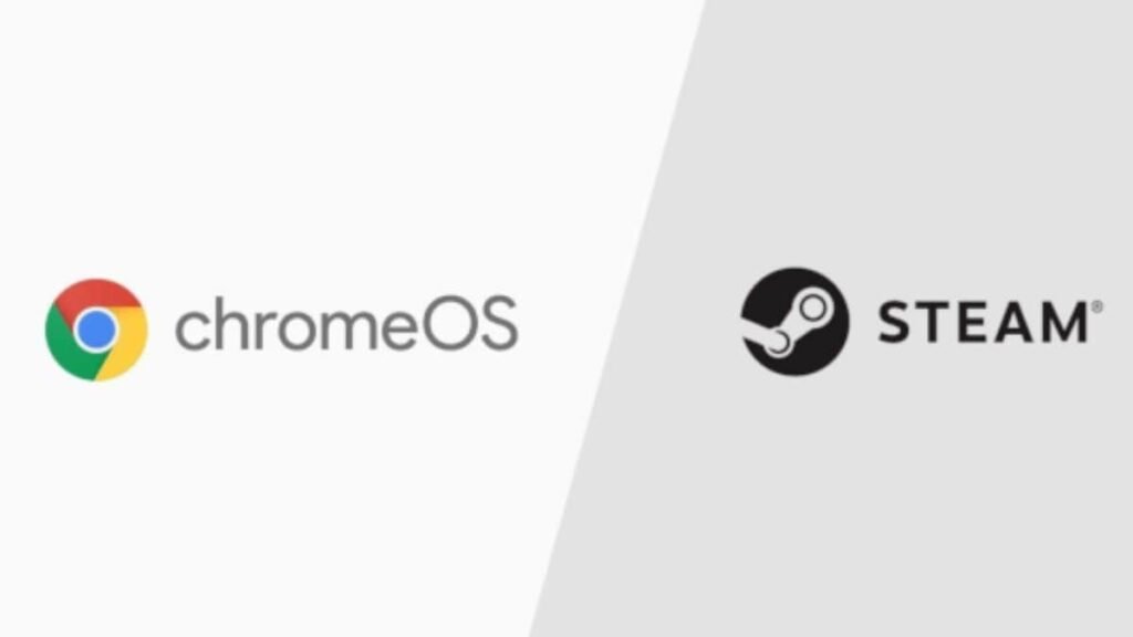 1754751396_steam_for_chrombook_1754745031414.jpg