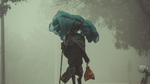 1813278-article-gallery-1.png