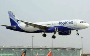 1856893-indigo.jpg