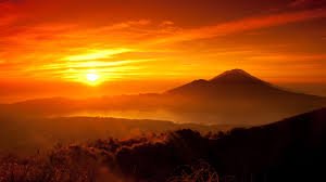 1937455-sun.jpg