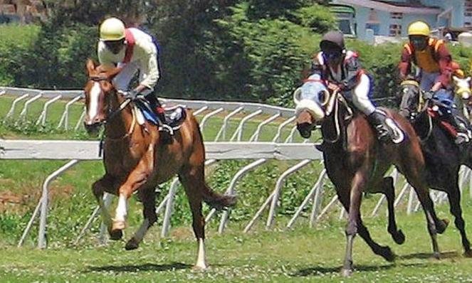 1950941-racing.jpg