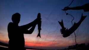 2-0-89413025-Fishing1-4C-0_1681733317262_1754924487820.jpg