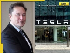 2716726-elon-2.jpg