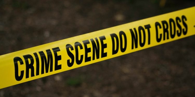 Crime-1-750x375-1.jpg