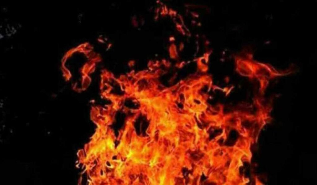 Fire-accident-kills-two-buffaloes-five-calves-in-Medak.jpg
