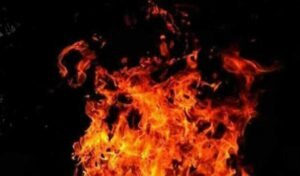 Fire-accident-kills-two-buffaloes-five-calves-in-Medak.jpg