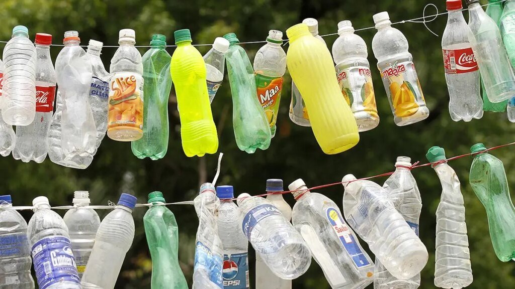 IMG_PET_BOTTLE_2_1_88DCAE91.jpg