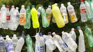 IMG_PET_BOTTLE_2_1_88DCAE91.jpg