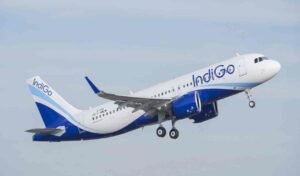 Indigo-1.jpg