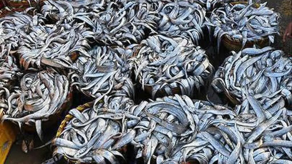 Marine-FisherieGV4ELAFV6.4.jpg.jpg