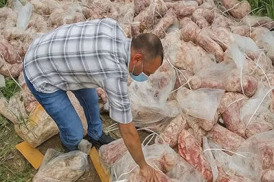 Meat.png