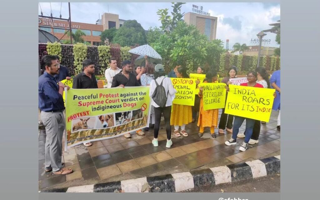 PROTEST-FOR-DOG.jpg
