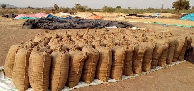 Paddy-procurement.jpg