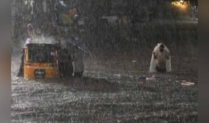 Rains-2.jpg