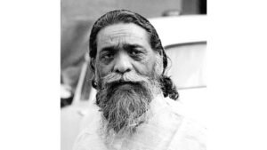 Shibu_1754287270899_1754287273460.jpg