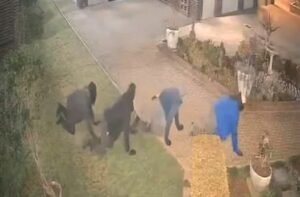 Viral-video-thief.jpg