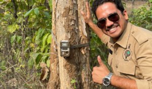 camera-traps.jpg