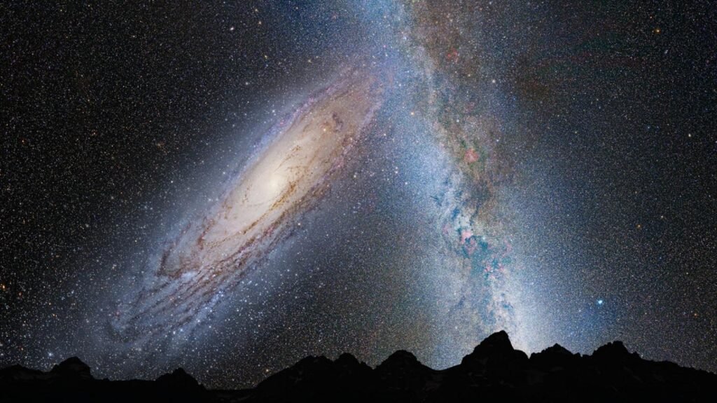cosmos.jpg