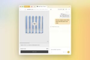 dia_browser_1749812637501.jpg