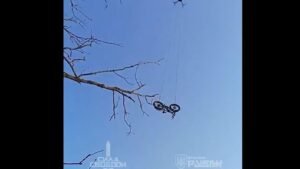 ebike_1754064796247_1754064819115.jpg
