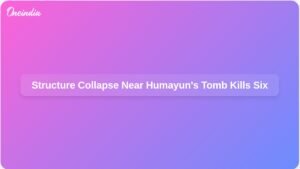 holiday-mood-turns-nightmare-structure-collapse-humayuns-tomb-ft.jpg