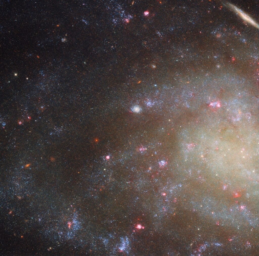 hubble-examines-low-br.jpg