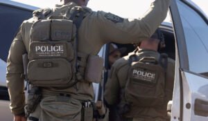 ice-agents.jpg