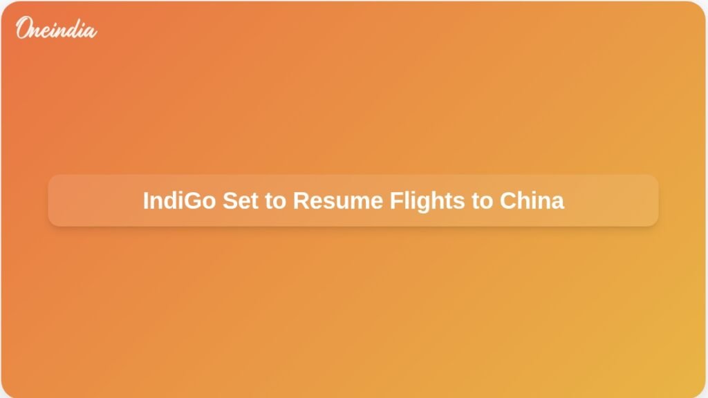 indigo-resumes-flights-india-china-ceo-pieter-elbers-ft.jpg